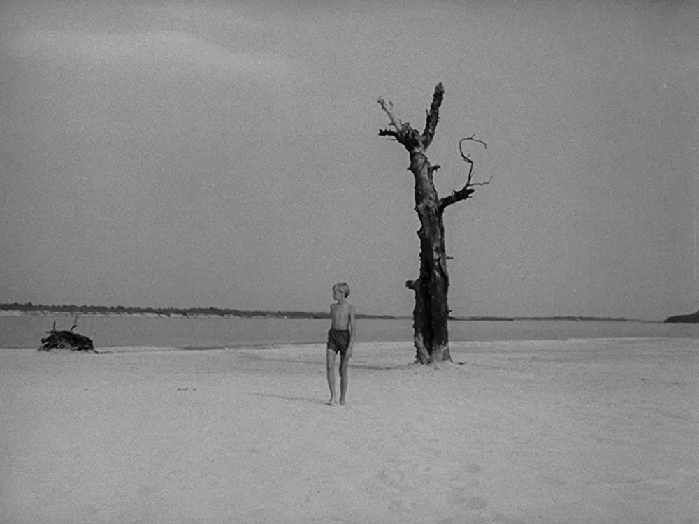 僕の村は戦場だったの画像