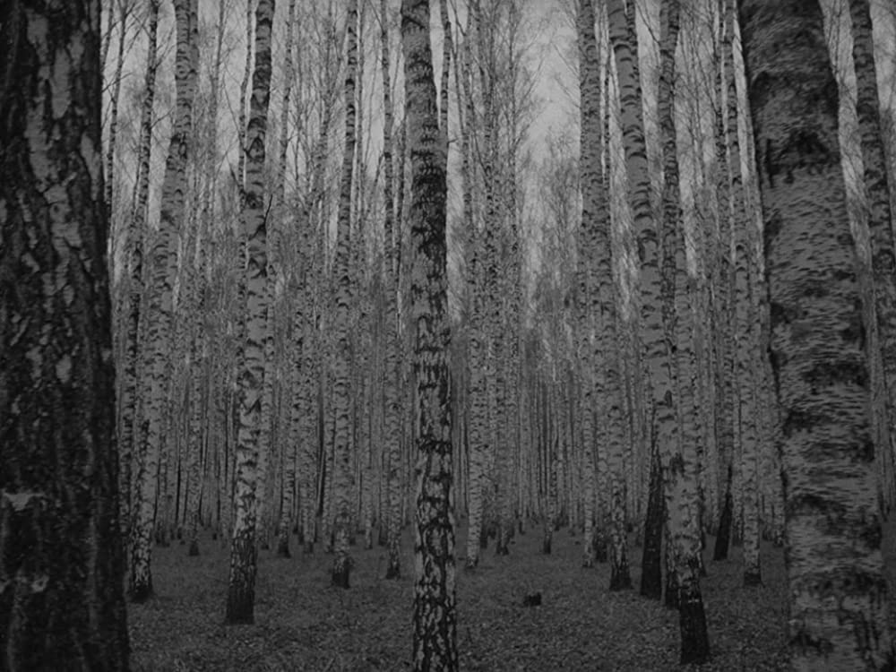 僕の村は戦場だったの画像