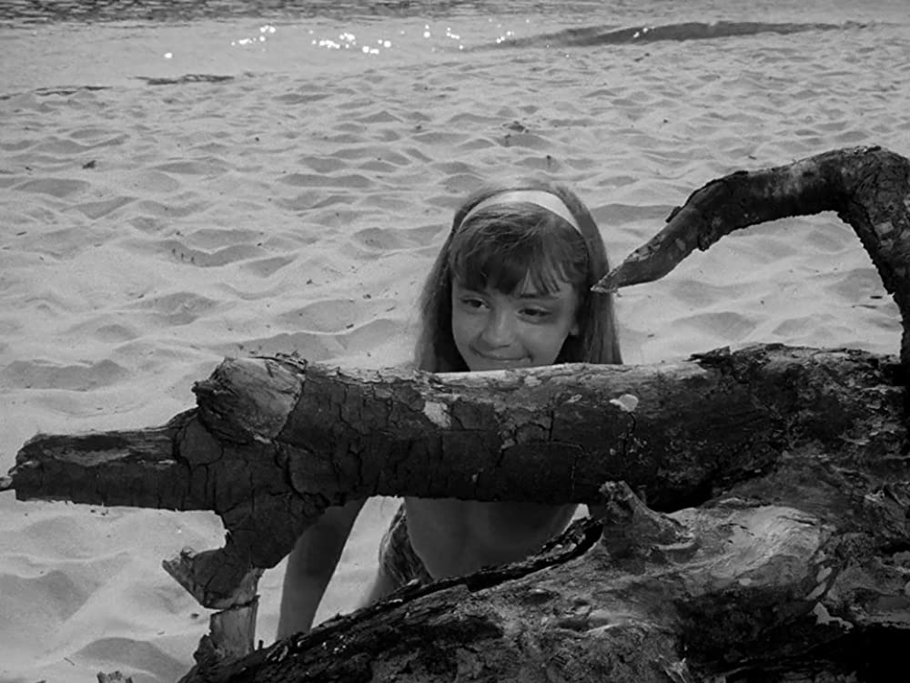 僕の村は戦場だったの画像