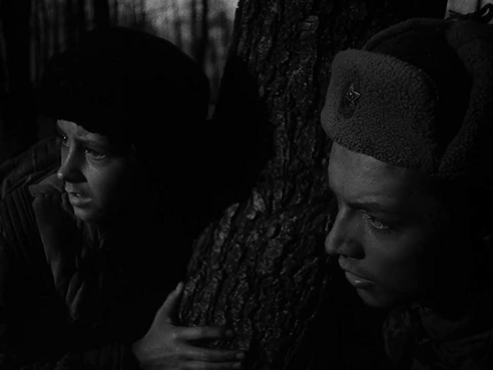 僕の村は戦場だったの画像