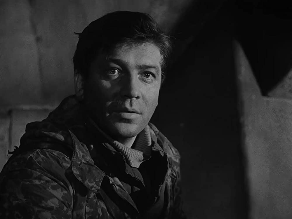 僕の村は戦場だったの画像