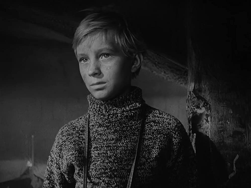 僕の村は戦場だったの画像