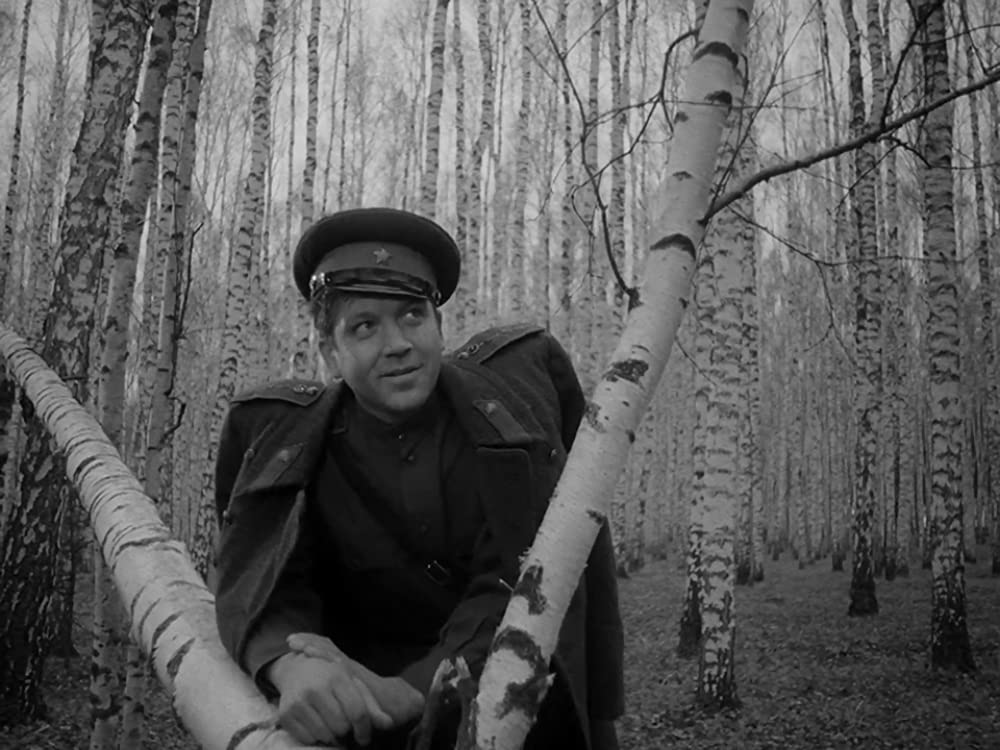 僕の村は戦場だったの画像