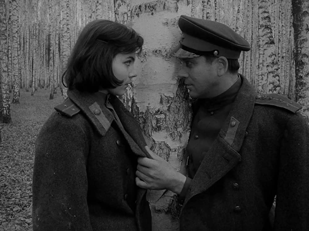 僕の村は戦場だったの画像