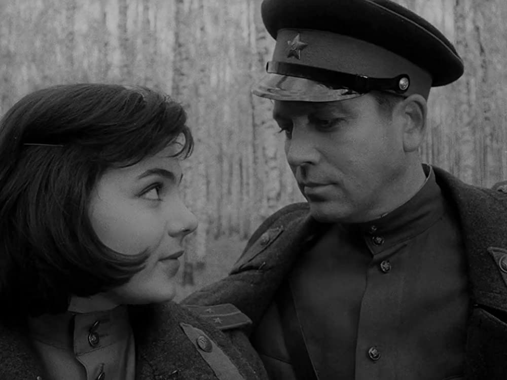 僕の村は戦場だったの画像