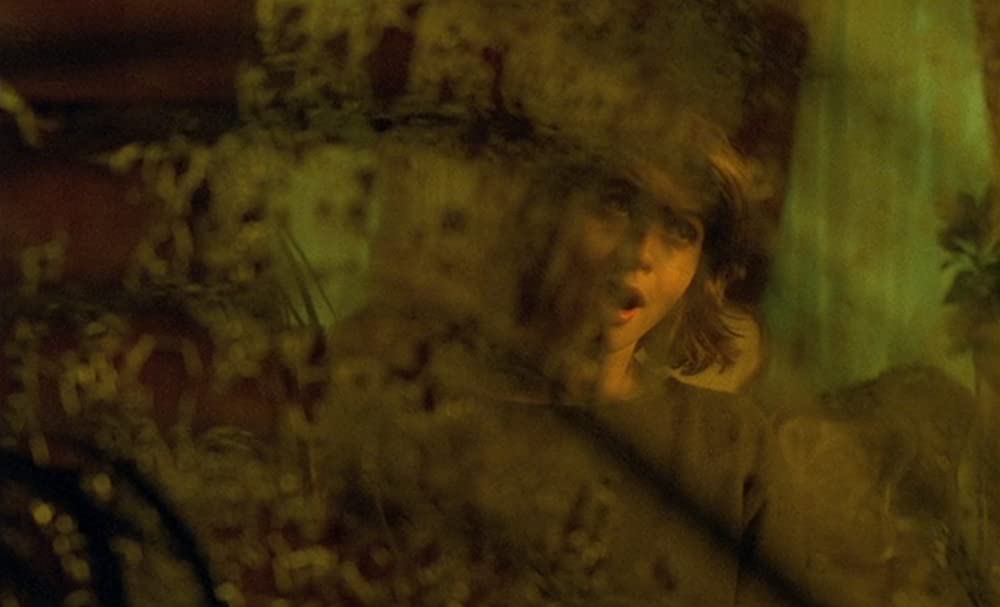 ふたりのベロニカの画像