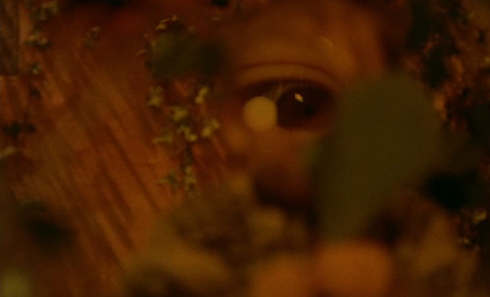 ふたりのベロニカの画像