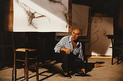 美しき諍い女（いさかいめ）の画像