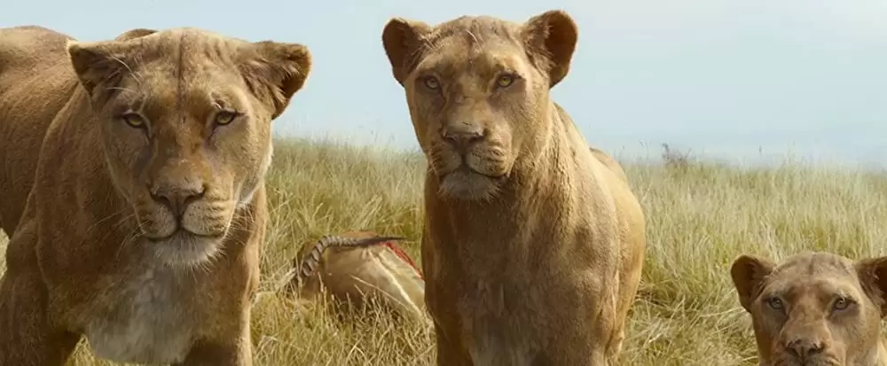 ターザン：REBORNの画像