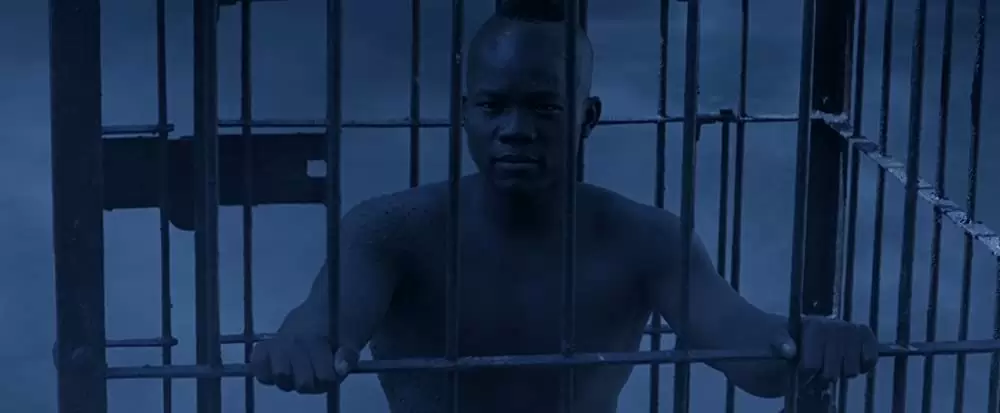 ターザン：REBORNの画像