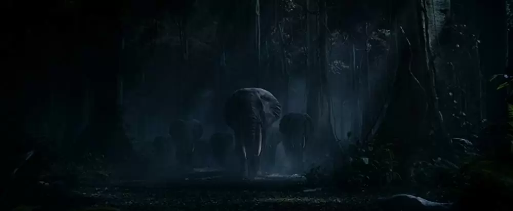 ターザン：REBORNの画像