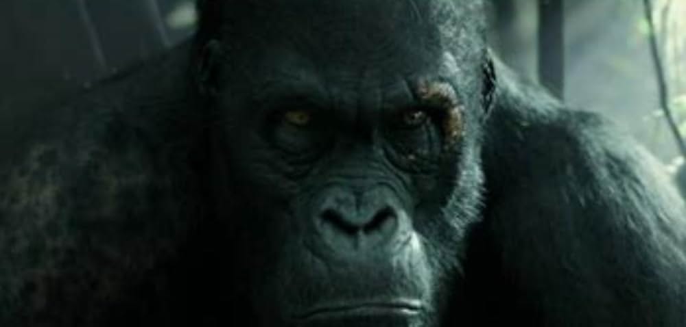 ターザン：REBORNの画像