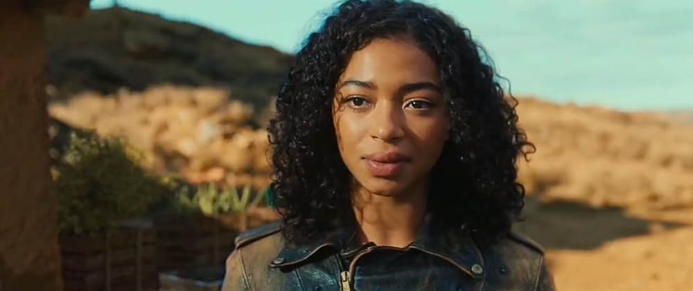 ヴォルーズの画像