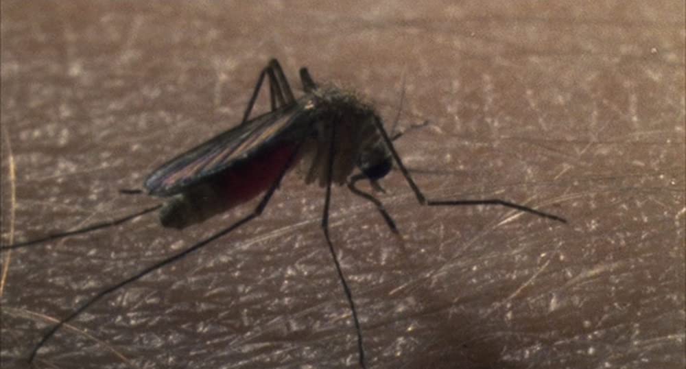 バートン・フィンクの画像