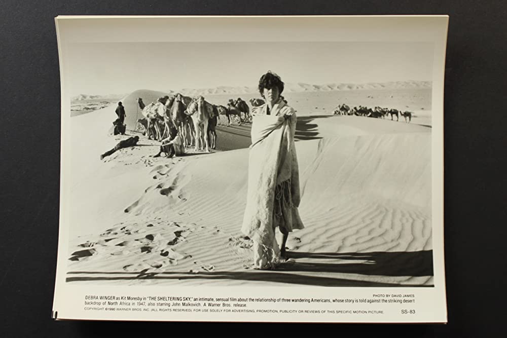 シェルタリング・スカイの画像