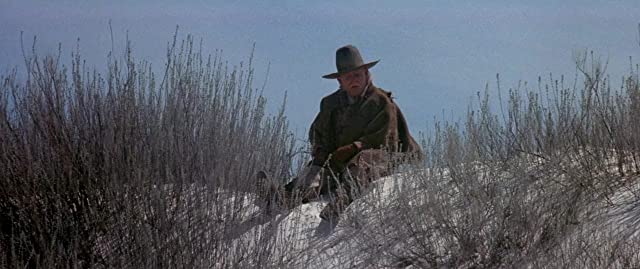 「ヤングガン2」の画像