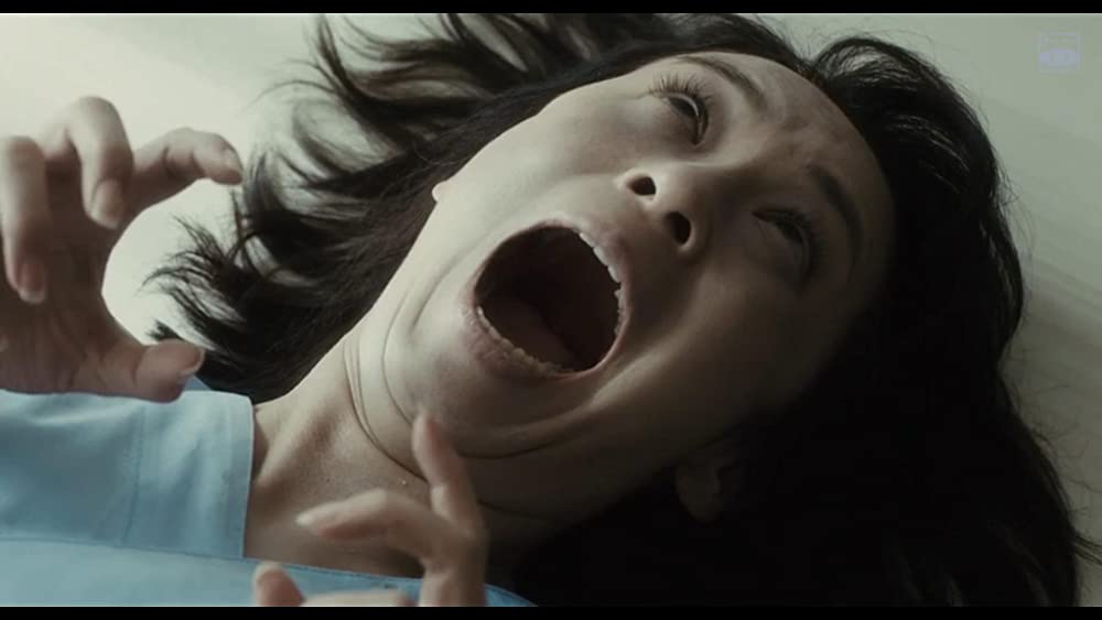 猫の恩返しの画像