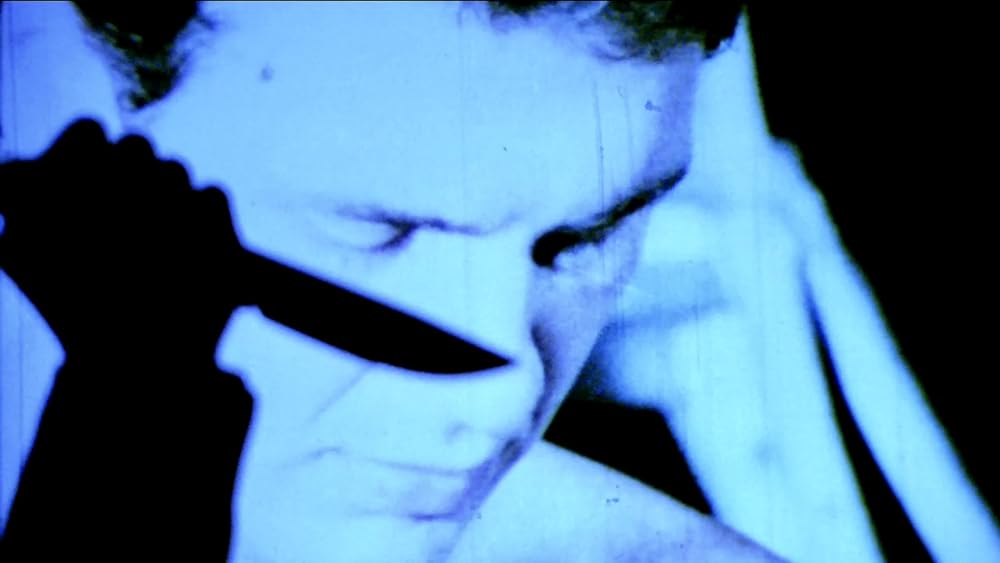 クルージングの画像