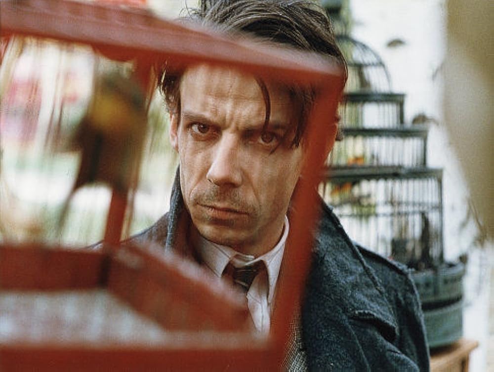 「アドルフの画集」ノア・テイラーの画像