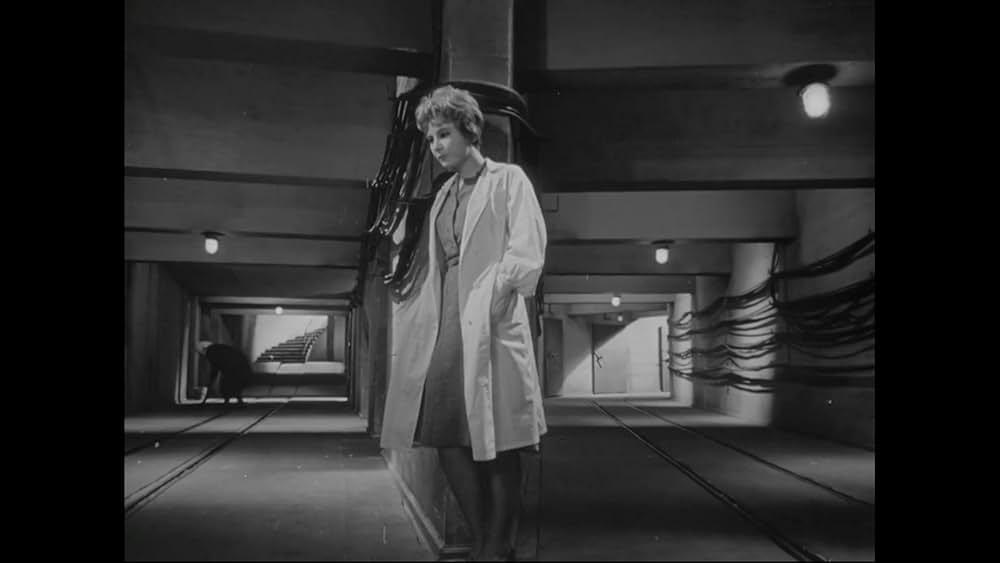 一年の九日の画像