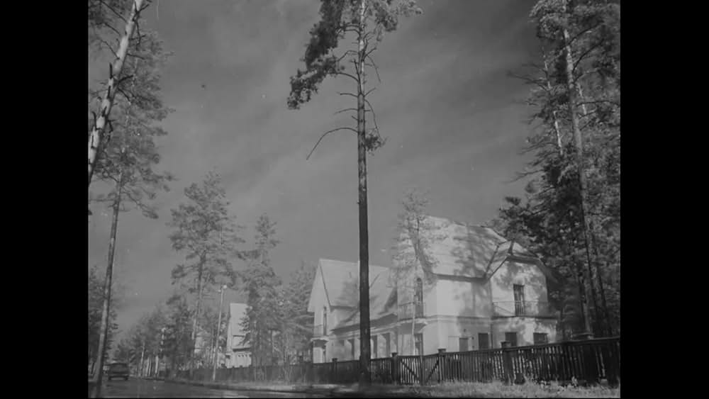 一年の九日の画像