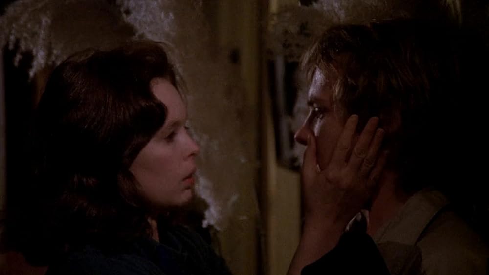 雨にぬれた舗道の画像