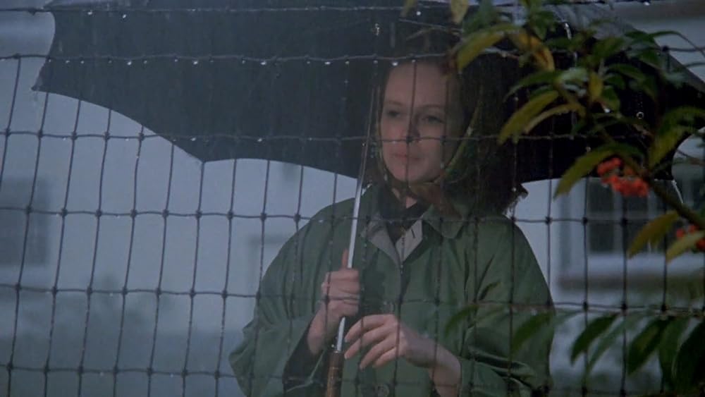 「雨にぬれた舗道」サンディ・デニスの画像