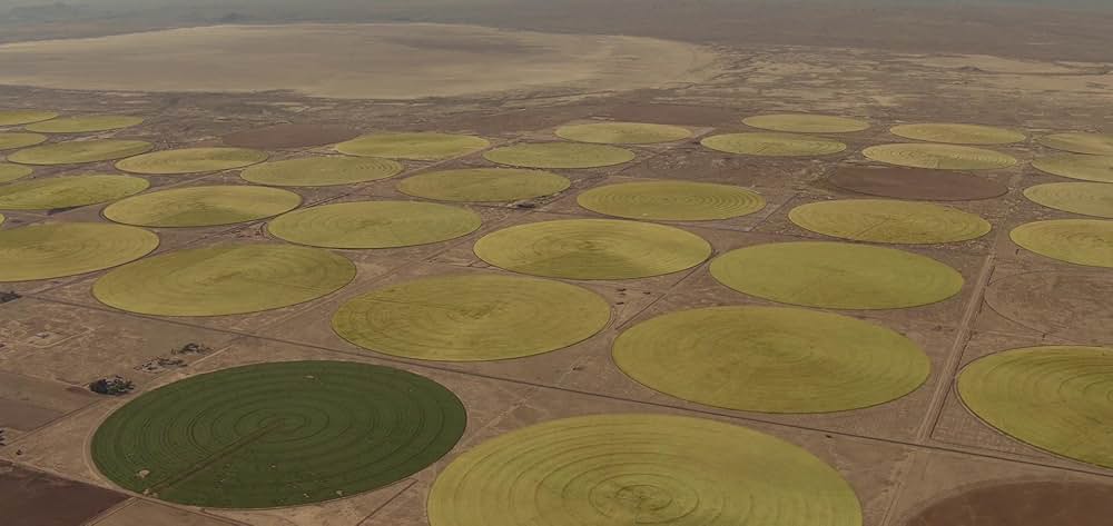 Foe（原題）の画像