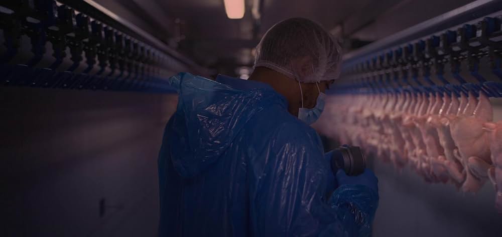 Foe（原題）の画像