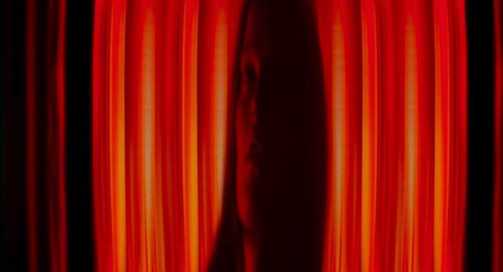 マイ アニマルの画像