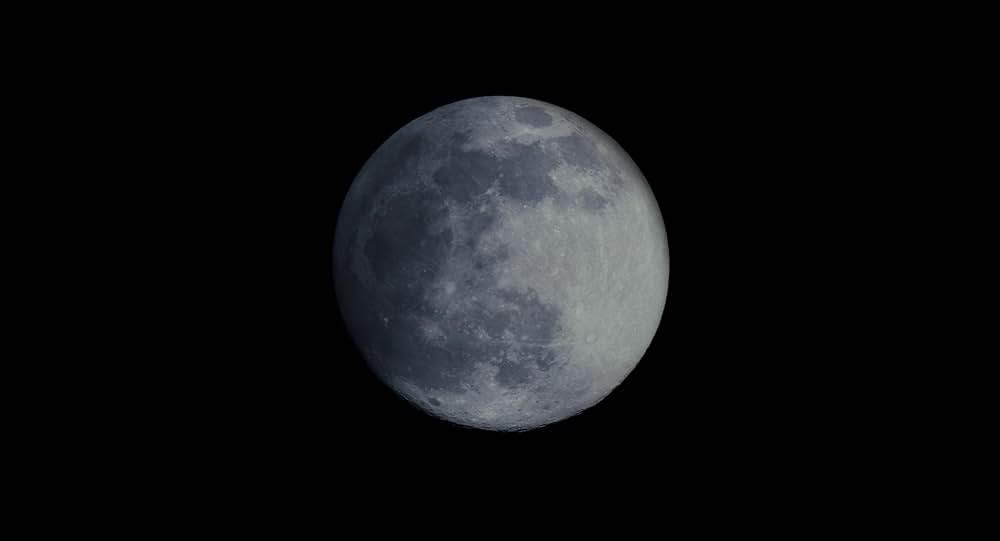 マイ アニマルの画像