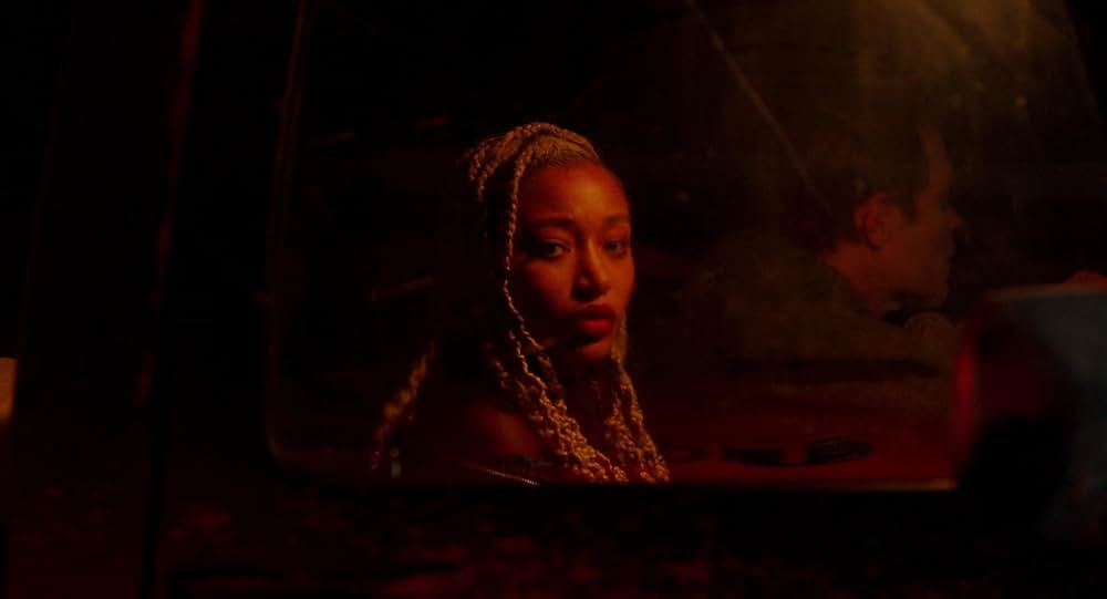 マイ アニマルの画像