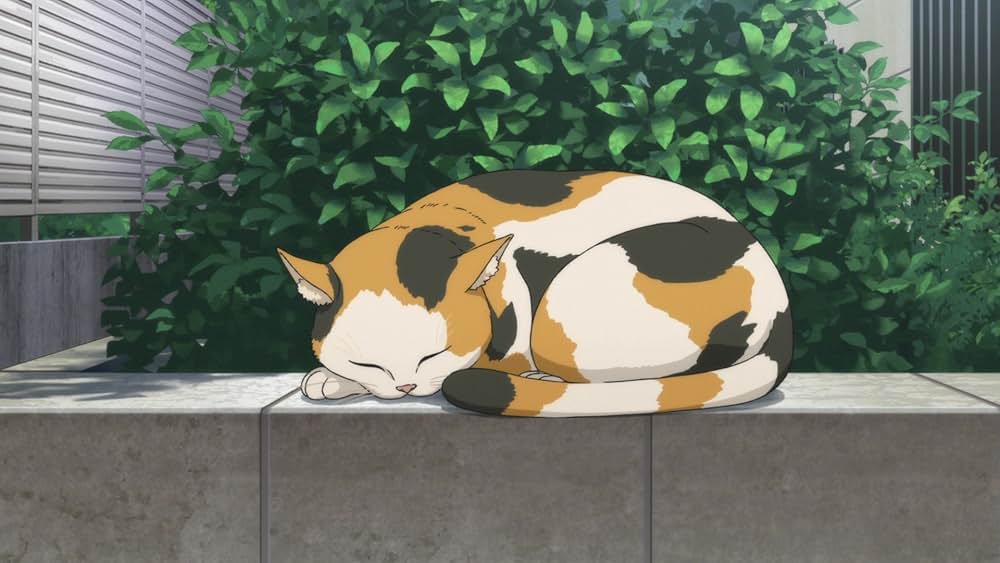 ハイキュー!! ゴミ捨て場の決戦の画像