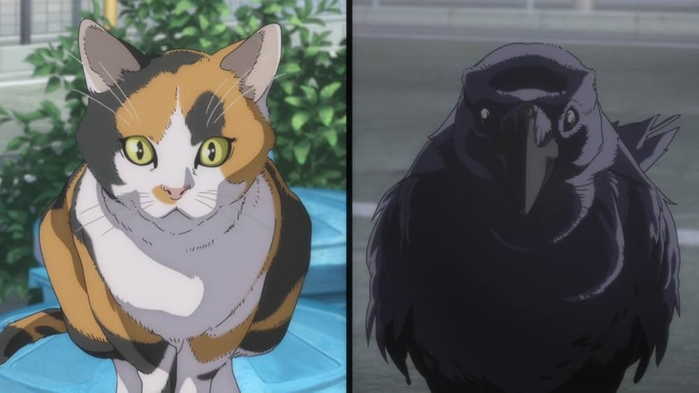 ハイキュー!! ゴミ捨て場の決戦の画像