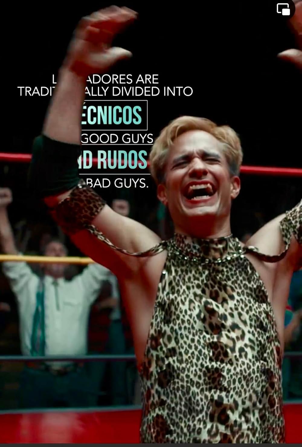 カサンドロ リング上のドラァグクイーンの画像