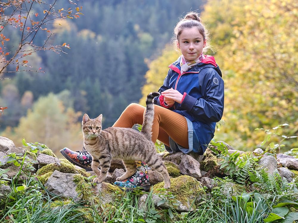 ルー、パリで生まれた猫の画像