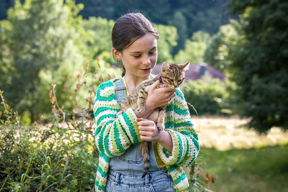 「ルー、パリで生まれた猫」の画像