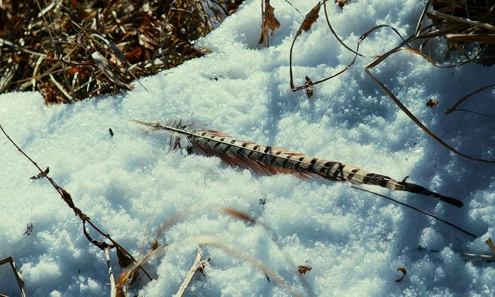 悪は存在しないの画像