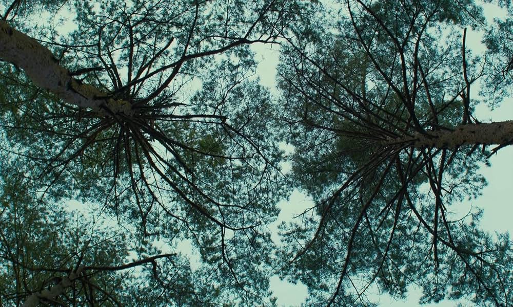 悪は存在しないの画像