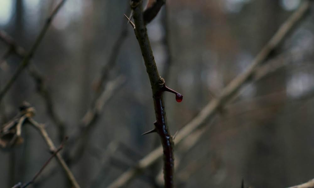 悪は存在しないの画像