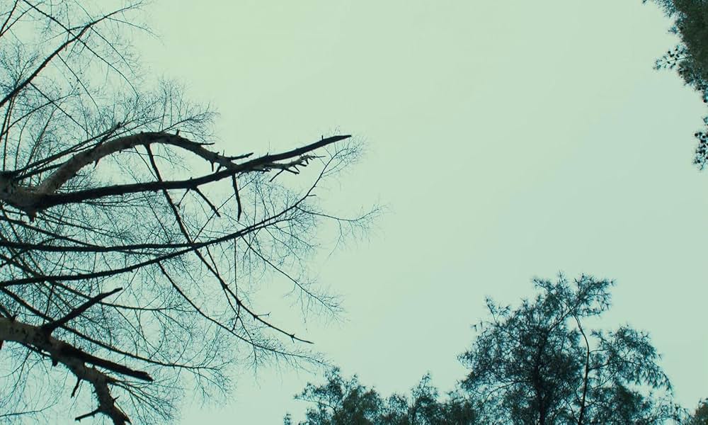 悪は存在しないの画像