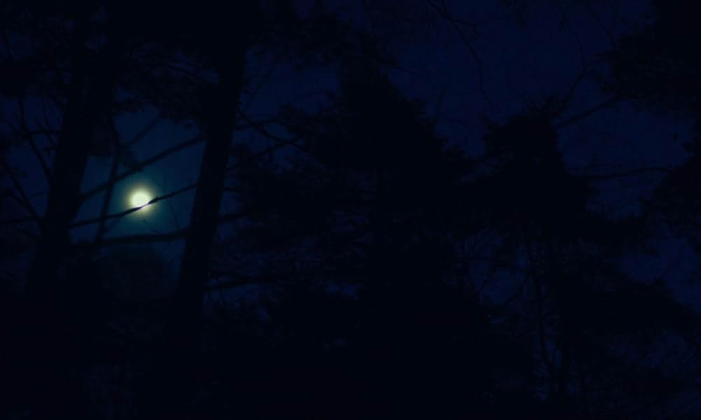 悪は存在しないの画像