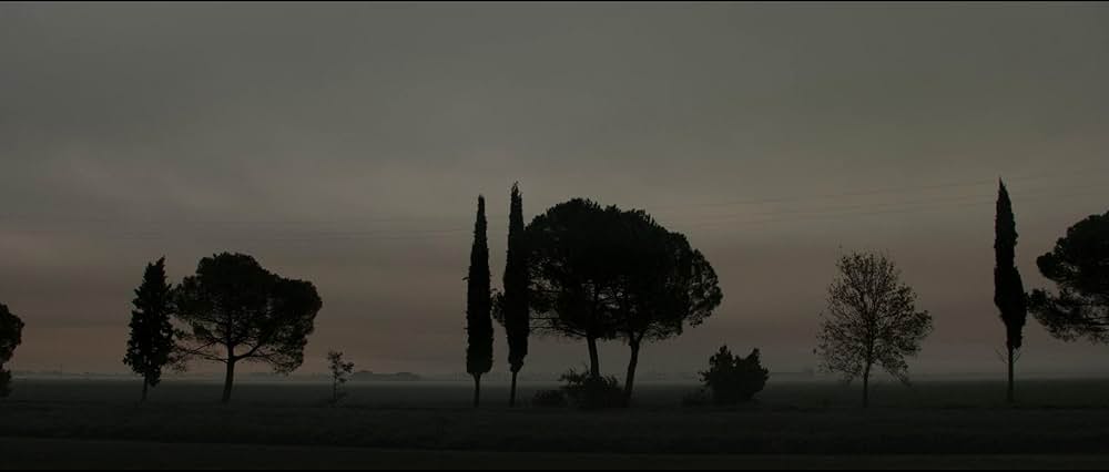 フェラーリの画像