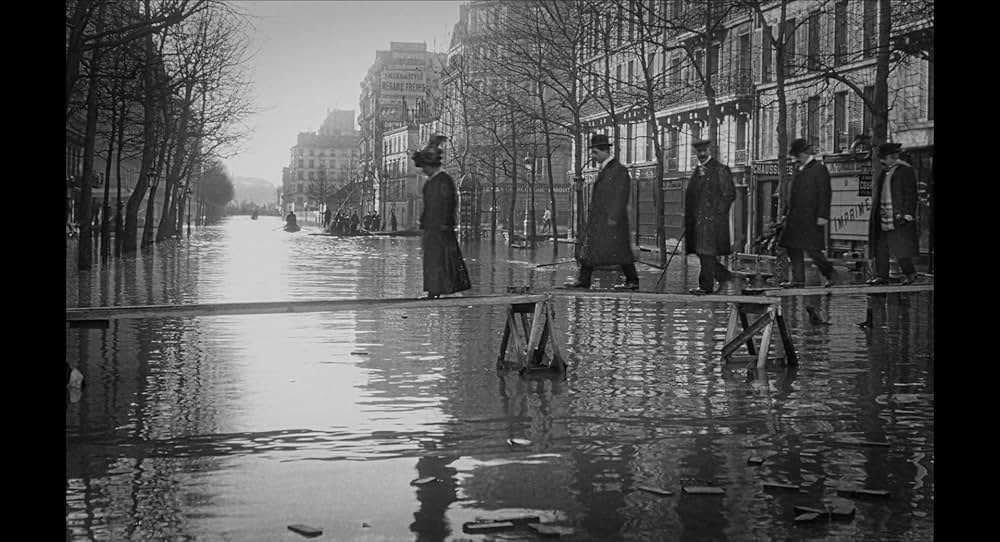 けものがいるの画像