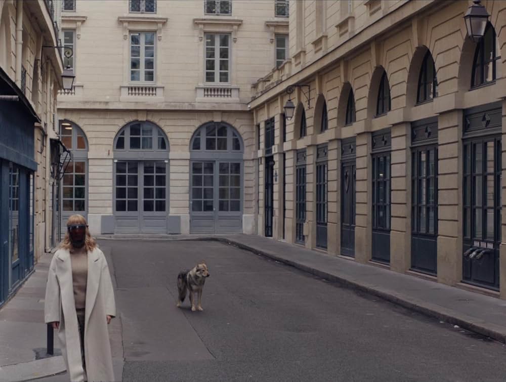 けものがいるの画像