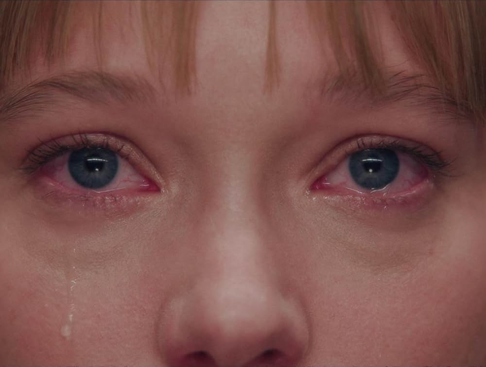 けものがいるの画像