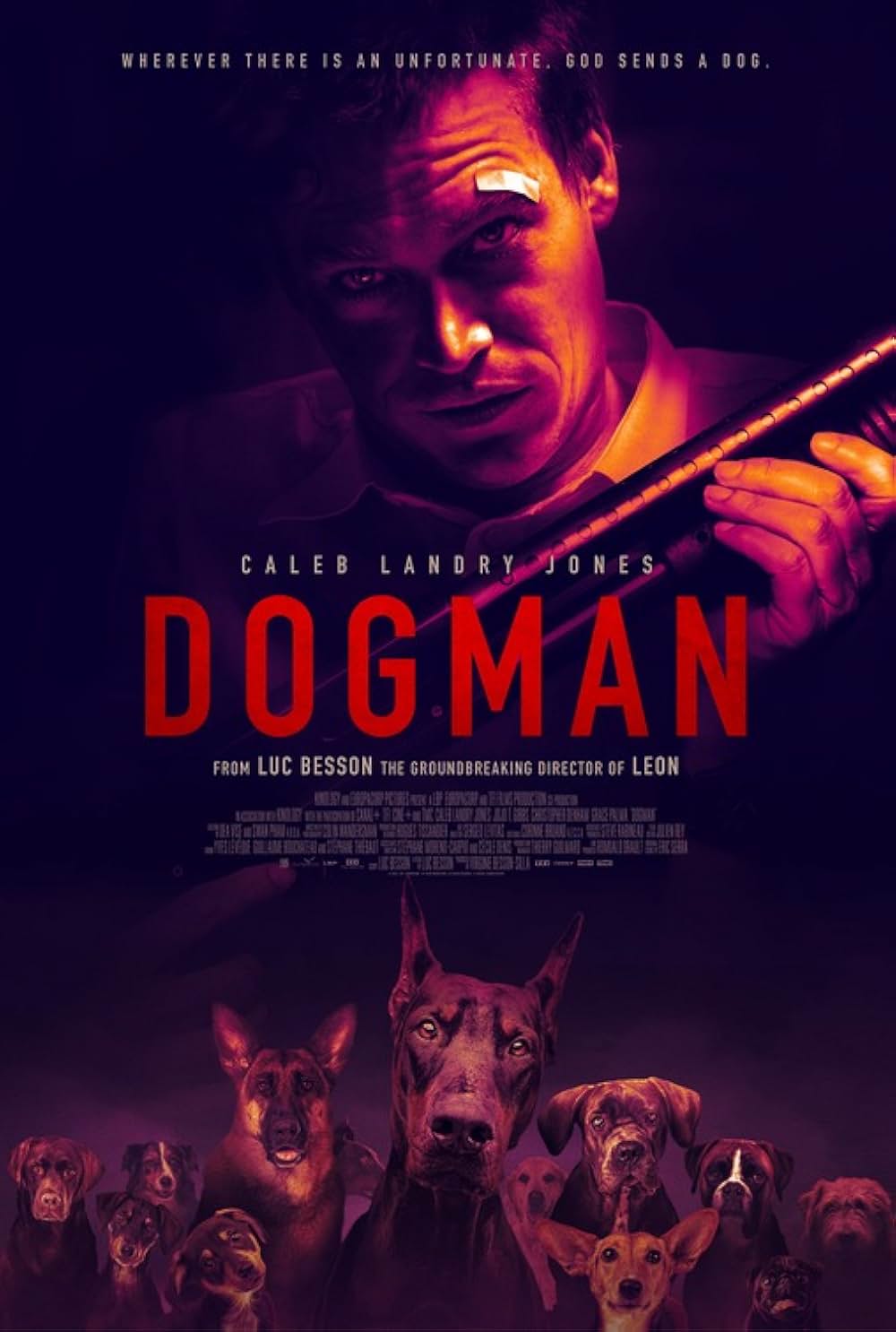 DOGMAN ドッグマンの画像