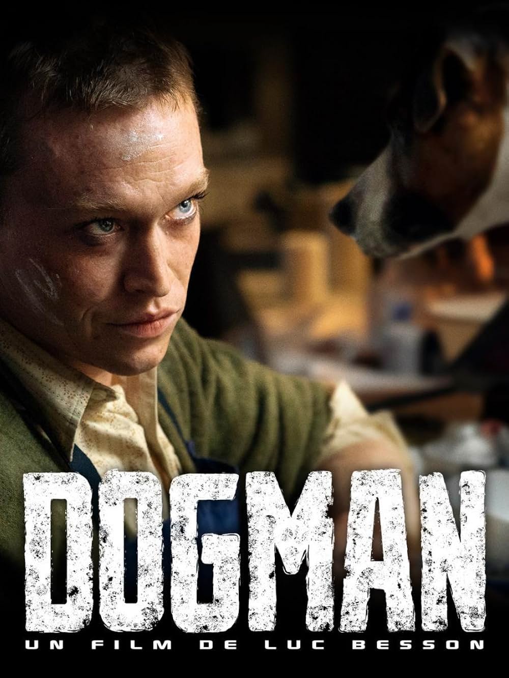 DOGMAN ドッグマンの画像