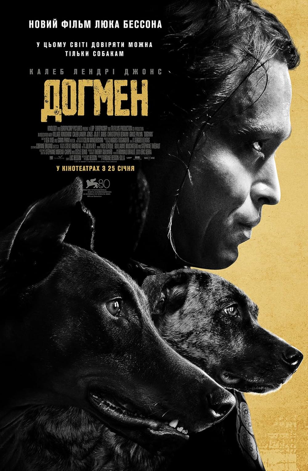 DOGMAN ドッグマンの画像