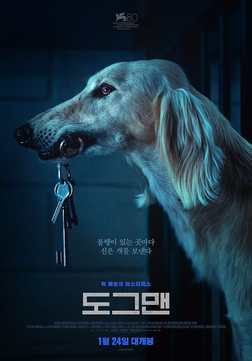 DOGMAN ドッグマンの画像